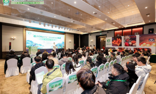 “桂字号”柳州柑桔绽放星城，产销对接共绘华中市场新蓝图